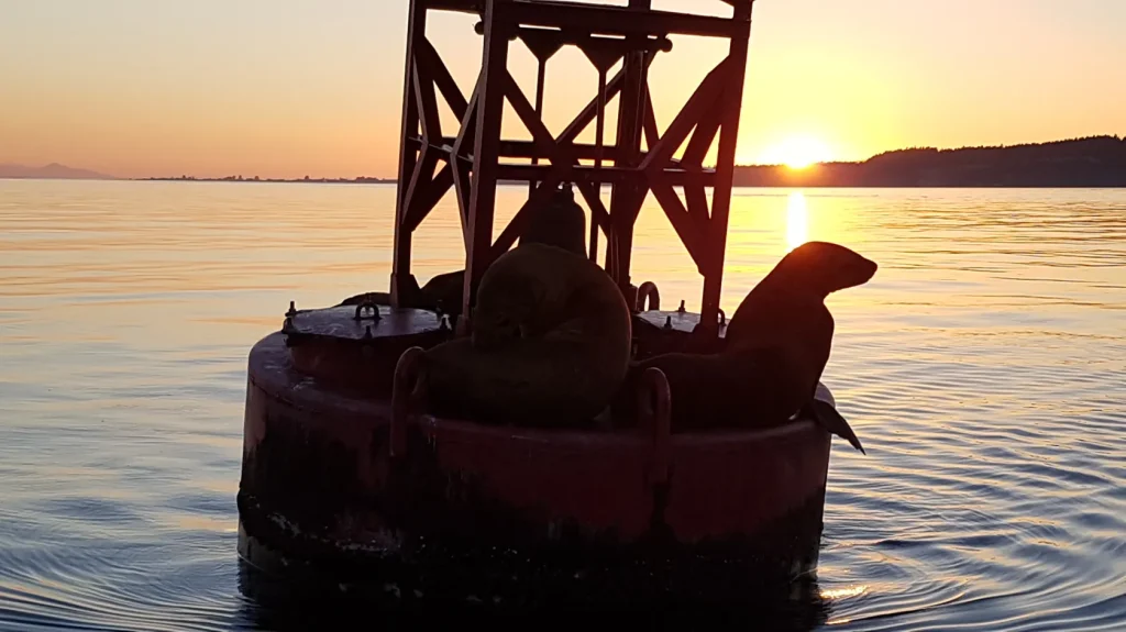 Beautiful sunset photo on Pacific Ocean