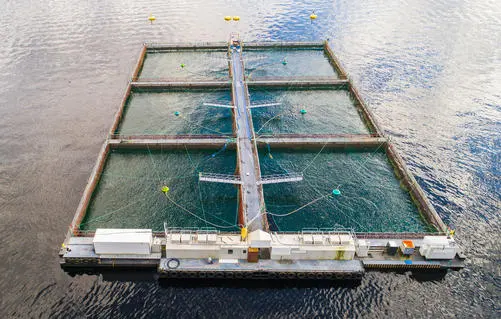 Salmon fish farm. Hordaland, Norway.