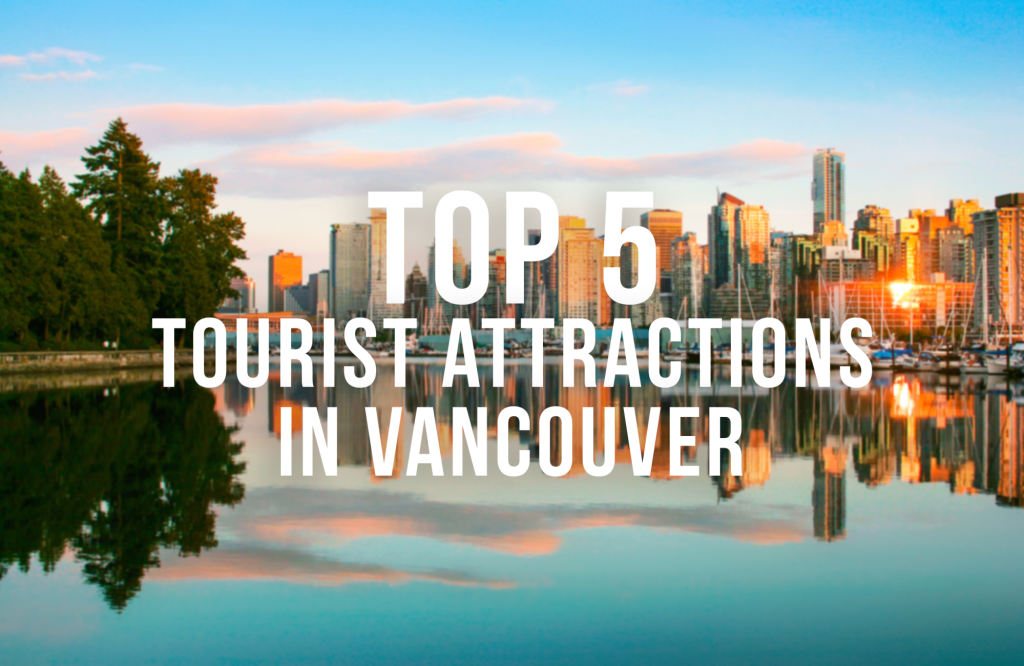 Vancouver, Tourist Attractions, Top 5, Whale Watching