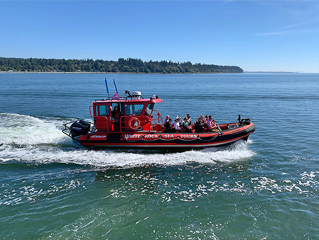 Spartan 1 whale watching zodiac adventure boat