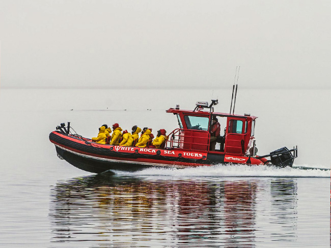 Spartan 1 whale watching zodiac adventure boat