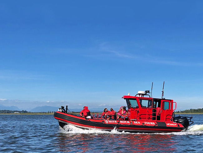 Spartan 1 whale watching zodiac adventure boat