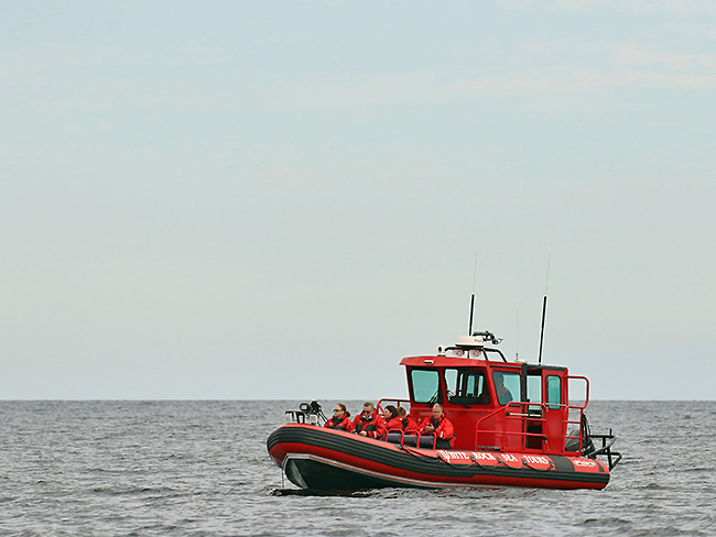 Spartan 1 whale watching zodiac adventure boat
