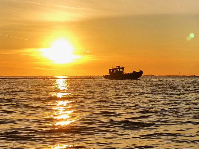 Spartan 1 whale watching zodiac adventure boat at sunset