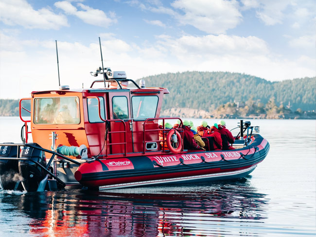 spartan 2 whale watching zodiac adventure boat