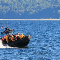 whale watching boat on water