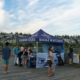 Whale watching booth at white rock pier