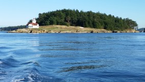 white rock sea tours and whale watch vancouver