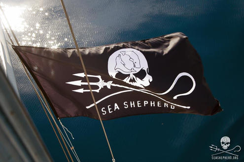 download-4 Sea Shepherd flag