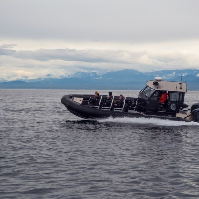 a whale tour across the georgia straight