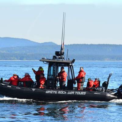 whale tours off the coast of Vancouver