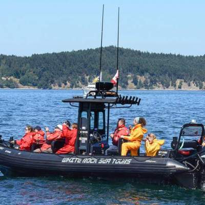 Salish Sea Whale Watching Adventure
