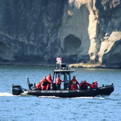 whale watching off near the gulf islands in british columbia