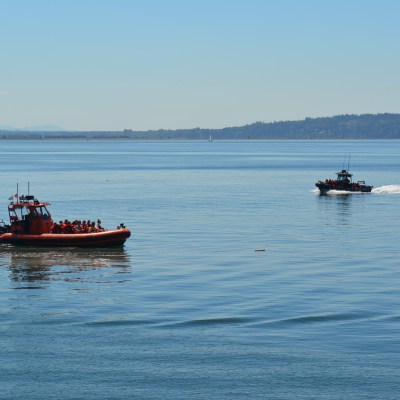 a day of whale watching