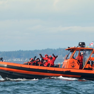 white rock whale tours