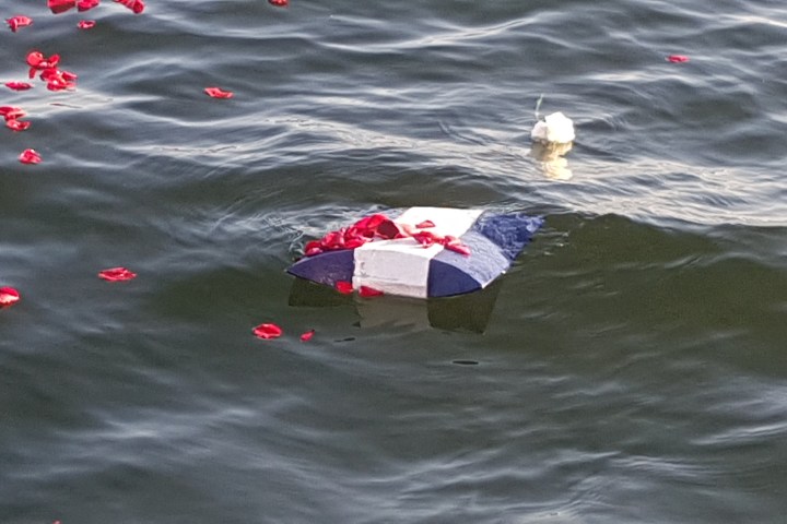 a group of people flying kites in a body of water